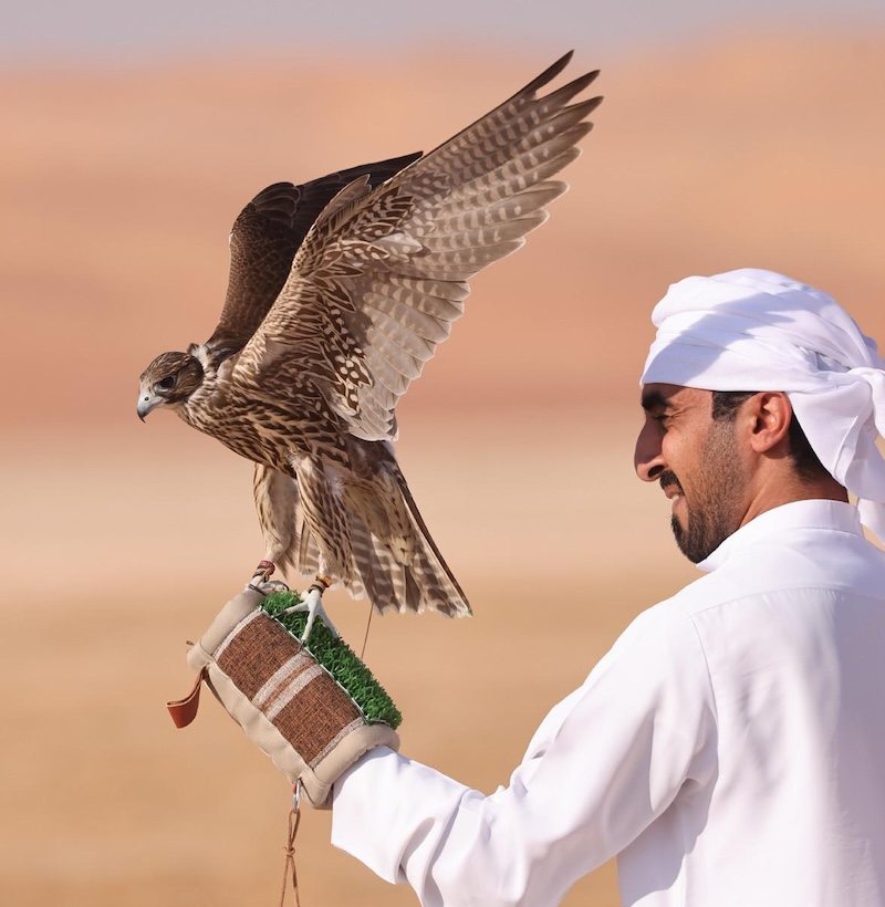 Liwa Village, Heritage: falconry and Emirati culture